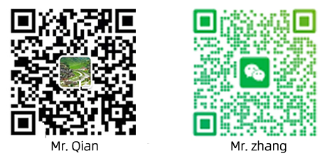 WeChat Official Account